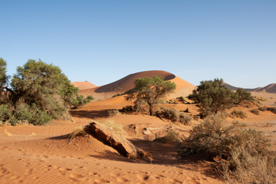 Dessert | Namibia