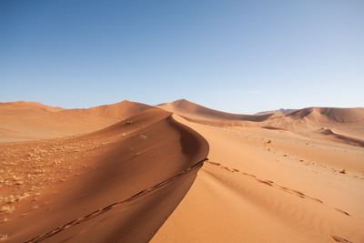 Dessert | Namibia